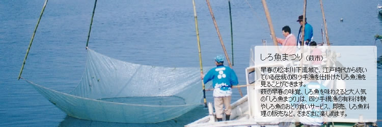 しろ魚まつり（萩市）